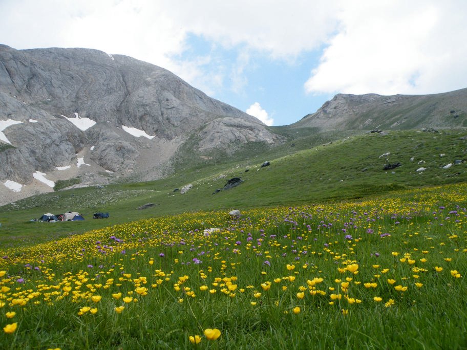 mahmut usta albÃƒÂƒÃ‚ÂƒÃƒÂ‚Ã‚Â¼m karagÃƒÂƒÃ‚ÂƒÃƒÂ‚Ã‚Â¶l02- 03-07-2011 085.jpg