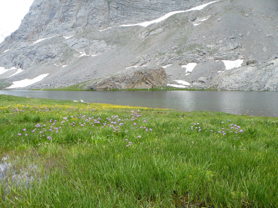 mahmut usta albÃƒÂƒÃ‚ÂƒÃƒÂ‚Ã‚Â¼m karagÃƒÂƒÃ‚ÂƒÃƒÂ‚Ã‚Â¶l02- 03-07-2011 086.jpg