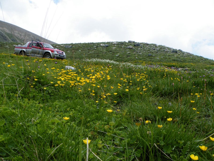 mahmut usta albÃƒÂƒÃ‚ÂƒÃƒÂ‚Ã‚Â¼m karagÃƒÂƒÃ‚ÂƒÃƒÂ‚Ã‚Â¶l02- 03-07-2011 087.jpg