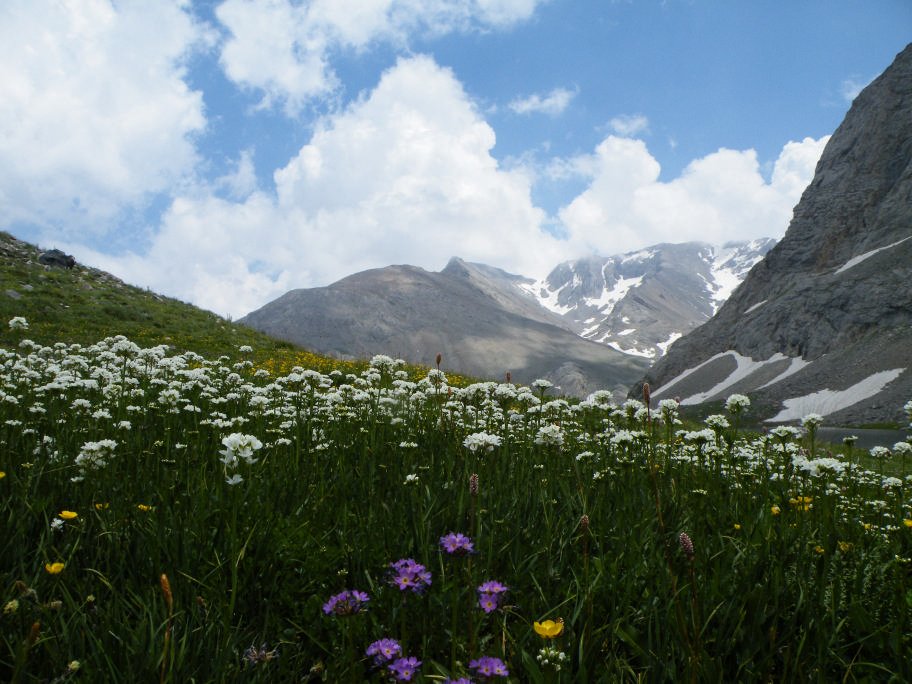 mahmut usta albÃƒÂƒÃ‚ÂƒÃƒÂ‚Ã‚Â¼m karagÃƒÂƒÃ‚ÂƒÃƒÂ‚Ã‚Â¶l02- 03-07-2011 088.jpg