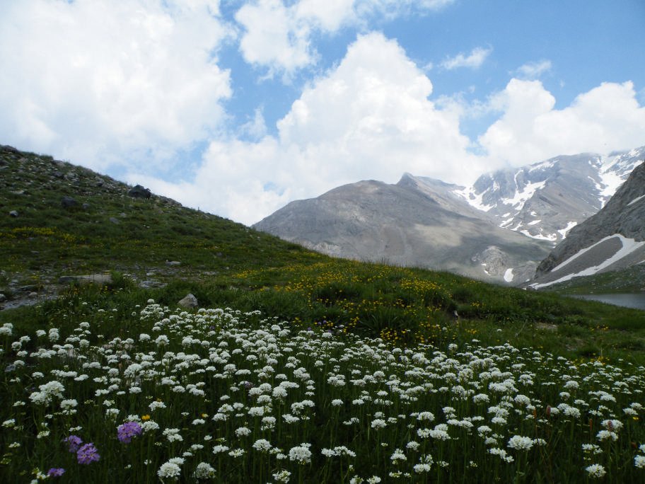 mahmut usta albÃƒÂƒÃ‚ÂƒÃƒÂ‚Ã‚Â¼m karagÃƒÂƒÃ‚ÂƒÃƒÂ‚Ã‚Â¶l02- 03-07-2011 089.jpg