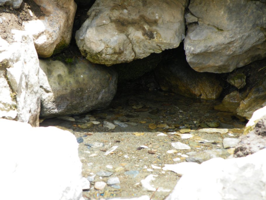 mahmut usta albÃƒÂƒÃ‚ÂƒÃƒÂ‚Ã‚Â¼m karagÃƒÂƒÃ‚ÂƒÃƒÂ‚Ã‚Â¶l02- 03-07-2011 093.jpg