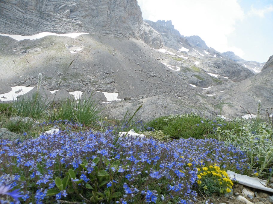 mahmut usta albÃƒÂƒÃ‚ÂƒÃƒÂ‚Ã‚Â¼m karagÃƒÂƒÃ‚ÂƒÃƒÂ‚Ã‚Â¶l02- 03-07-2011 095.jpg