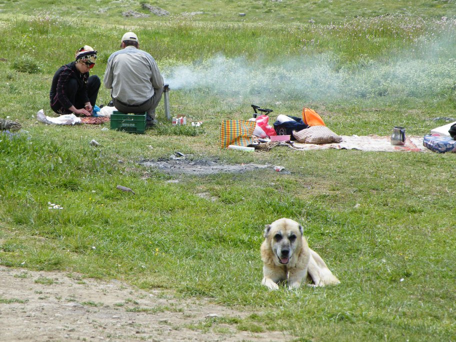 mahmut usta albÃƒÂƒÃ‚ÂƒÃƒÂ‚Ã‚Â¼m karagÃƒÂƒÃ‚ÂƒÃƒÂ‚Ã‚Â¶l02- 03-07-2011 118.jpg