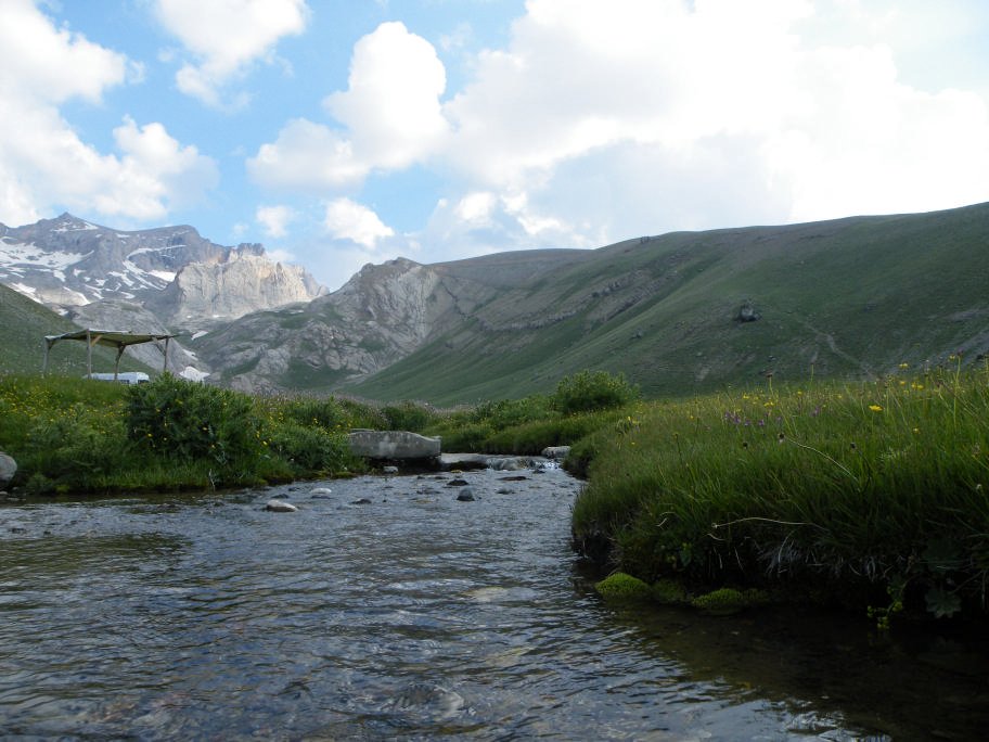 mahmut usta albÃƒÂƒÃ‚ÂƒÃƒÂ‚Ã‚Â¼m karagÃƒÂƒÃ‚ÂƒÃƒÂ‚Ã‚Â¶l02- 03-07-2011 140.jpg