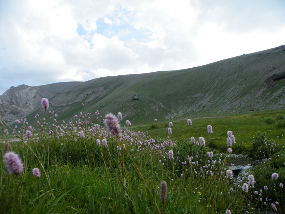 mahmut usta albÃƒÂƒÃ‚ÂƒÃƒÂ‚Ã‚Â¼m karagÃƒÂƒÃ‚ÂƒÃƒÂ‚Ã‚Â¶l02- 03-07-2011 141.jpg