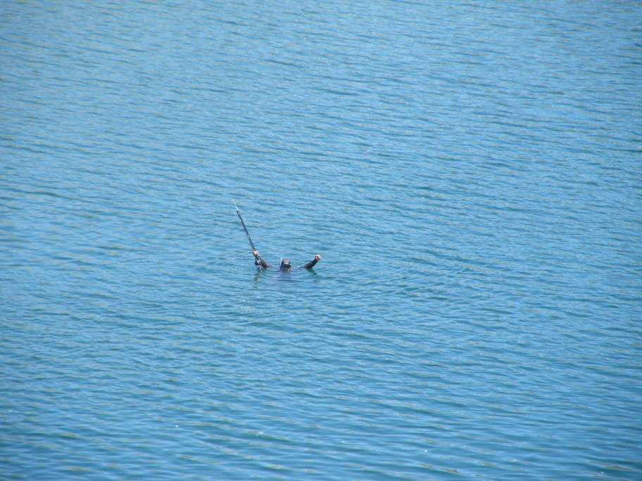 mahmut usta albÃƒÂƒÃ‚ÂƒÃƒÂ‚Ã‚Â¼m karagÃƒÂƒÃ‚ÂƒÃƒÂ‚Ã‚Â¶l02- 03-07-2011 312.jpg