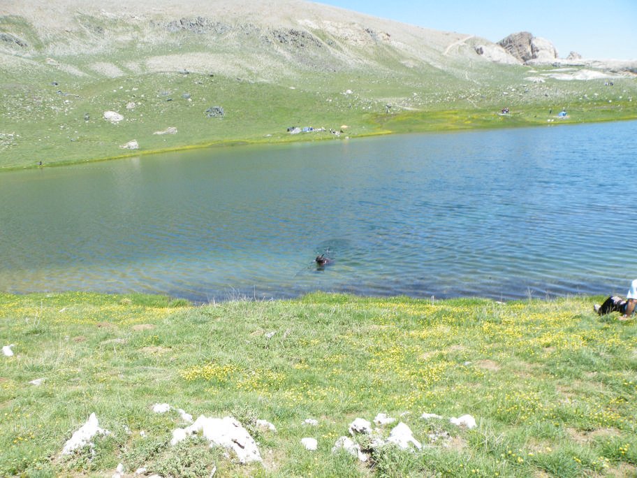 mahmut usta albÃƒÂƒÃ‚ÂƒÃƒÂ‚Ã‚Â¼m karagÃƒÂƒÃ‚ÂƒÃƒÂ‚Ã‚Â¶l02- 03-07-2011 317.jpg