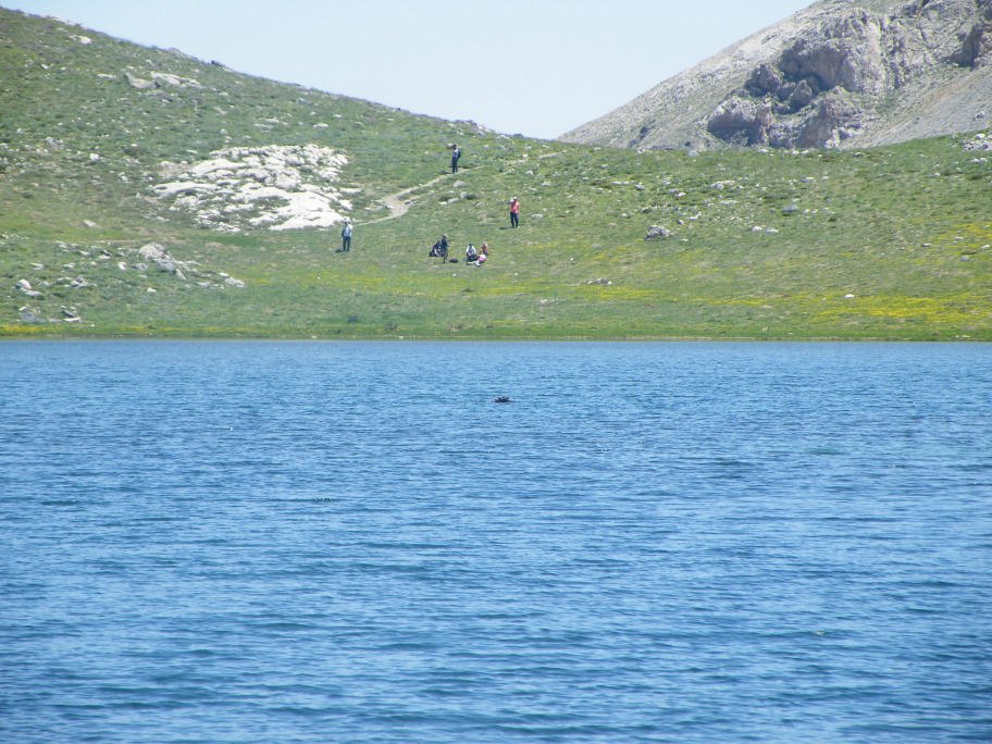 mahmut usta albÃƒÂƒÃ‚ÂƒÃƒÂ‚Ã‚Â¼m karagÃƒÂƒÃ‚ÂƒÃƒÂ‚Ã‚Â¶l02- 03-07-2011 332.jpg
