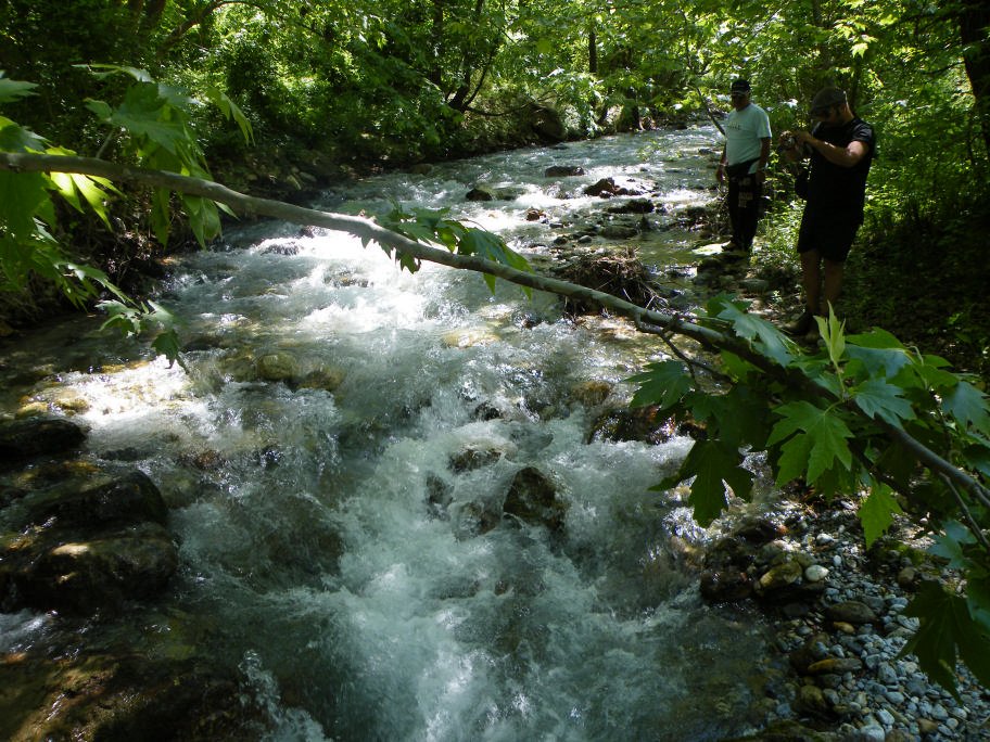 mahmut usta albÃƒÂƒÃ‚ÂƒÃƒÂ‚Ã‚Â¼m karagÃƒÂƒÃ‚ÂƒÃƒÂ‚Ã‚Â¶l02- 03-07-2011 467.jpg