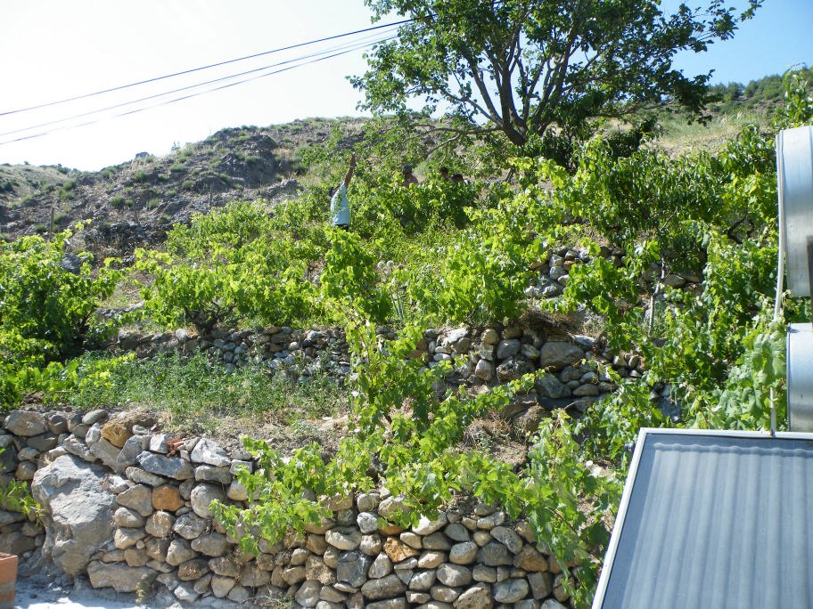 mahmut usta albÃƒÂƒÃ‚ÂƒÃƒÂ‚Ã‚Â¼m karagÃƒÂƒÃ‚ÂƒÃƒÂ‚Ã‚Â¶l02- 03-07-2011 493.jpg