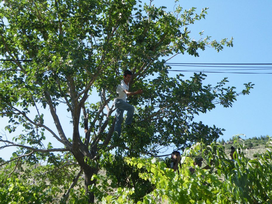 mahmut usta albÃƒÂƒÃ‚ÂƒÃƒÂ‚Ã‚Â¼m karagÃƒÂƒÃ‚ÂƒÃƒÂ‚Ã‚Â¶l02- 03-07-2011 497.jpg