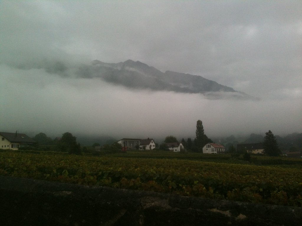 Maienfeld (12).JPG