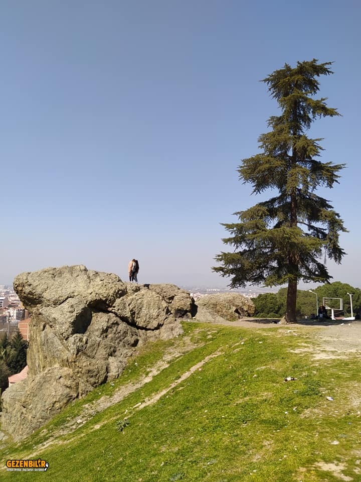 manisa 1.jpg