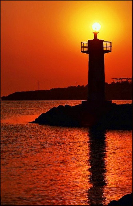 Marmara EreÃƒÂƒÃ‚Â„ÃƒÂ‚Ã‚ÂŸlisi ( c ) YÃƒÂƒÃ‚Â„ÃƒÂ‚Ã‚Â±lmaz AYNALI.jpg