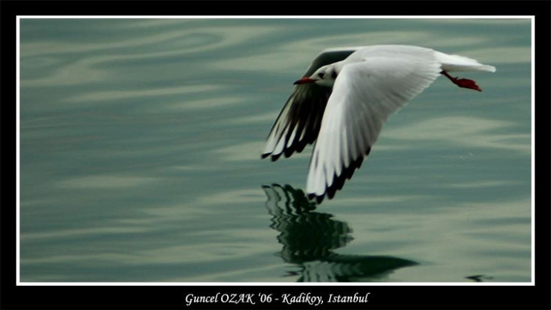 MartÃƒÂƒÃ‚Â„ÃƒÂ‚Ã‚Â± - 4.jpg