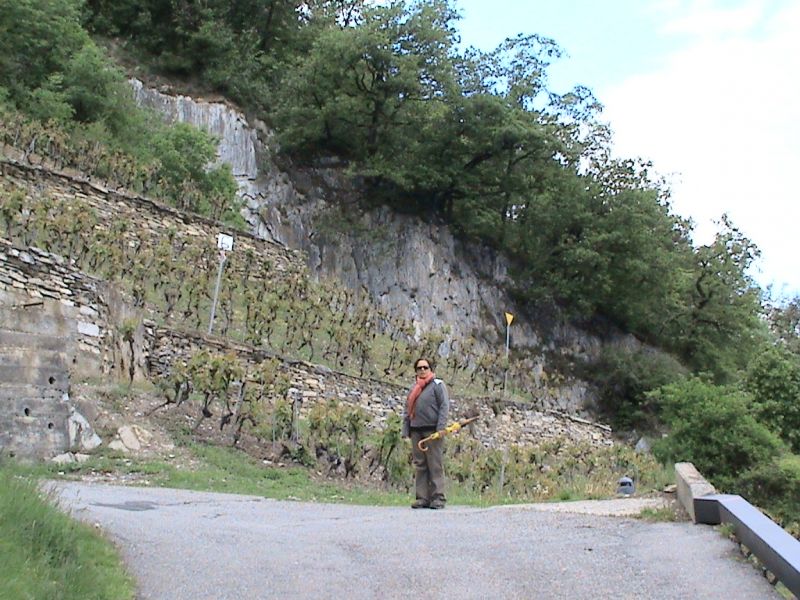 Martigny.jpg