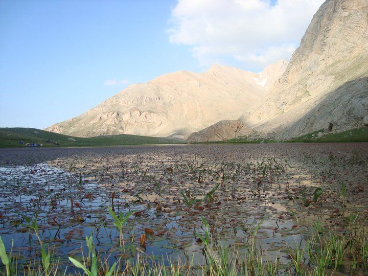 Medetsiz 2010 - 011.jpg