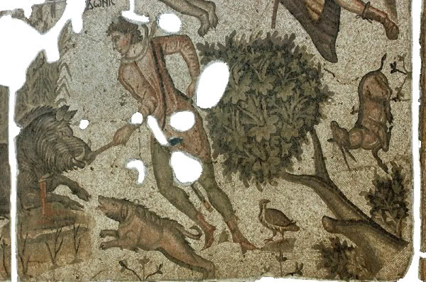 megalopsychia-adonis-boar-c-osseman.jpg