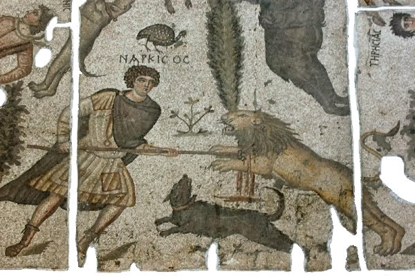 megalopsychia-narcissos-lion-c-osse.jpg