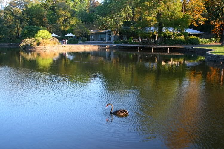Melbournebotanik2.jpg