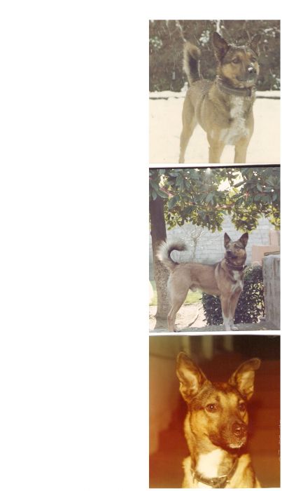 mert 26 mart 1990_03 kasÃƒÂƒÃ‚Â„ÃƒÂ‚Ã‚Â±m 2004.jpg