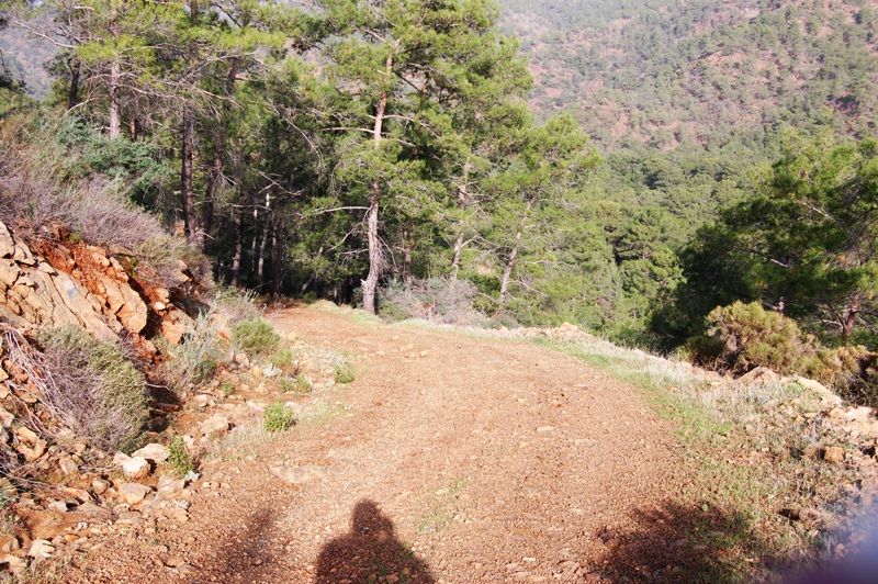 mevcut yol durumu.jpg