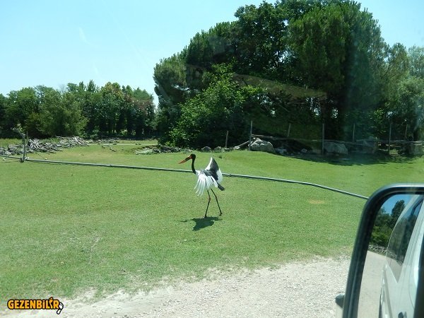 Milano Venedik Yolu 4.jpg
