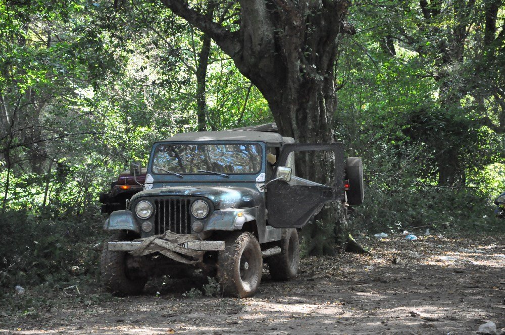 mini-DSC_0959.JPG