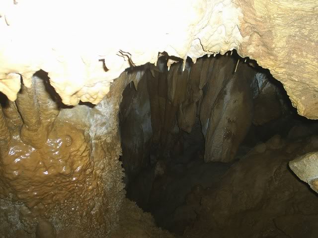mini-PIC_0008.jpg