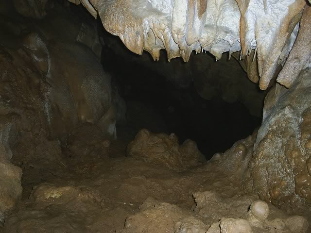 mini-PIC_0009.jpg