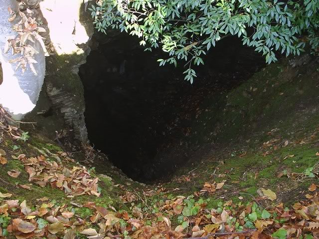 mini-PIC_0051.jpg