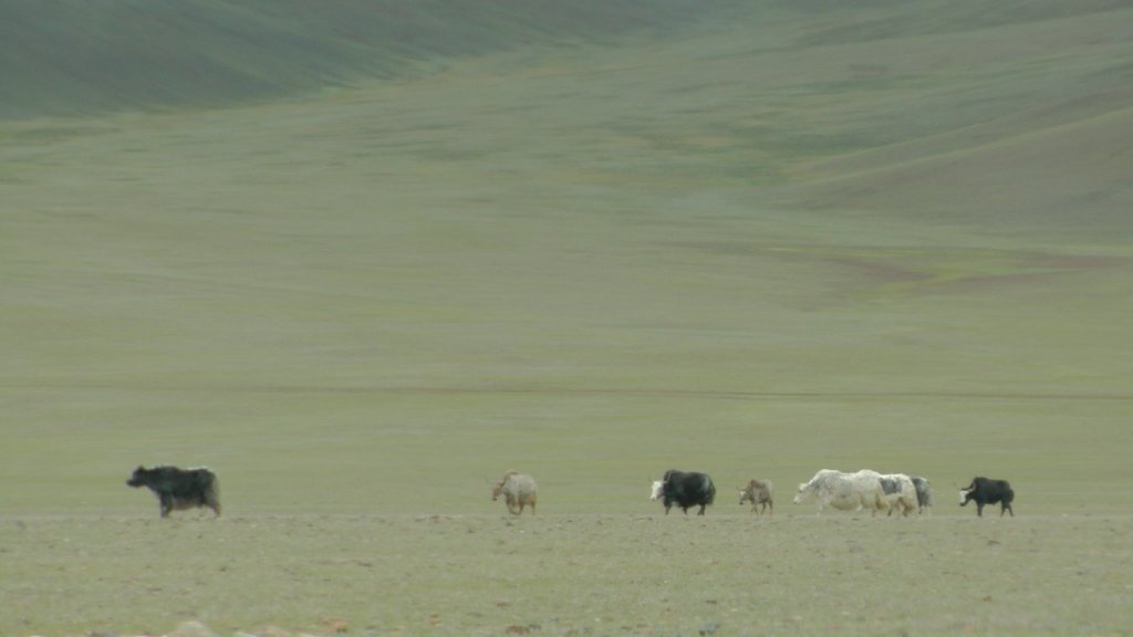 mogolistan2.jpg