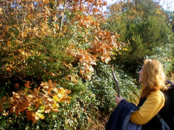 MuÃƒÂƒÃ‚Â…ÃƒÂ‚Ã‚ÂŸmula Toplarken.jpg