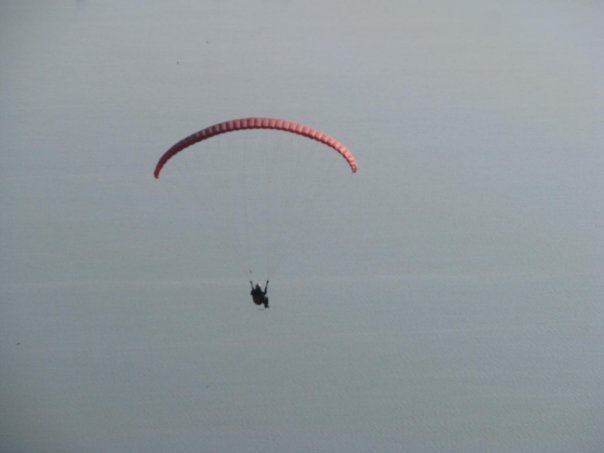 n563817878_481988_8827.jpg