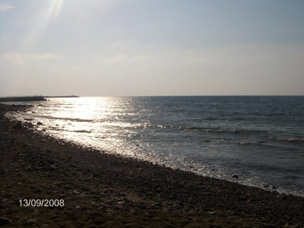 n563817878_820908_7297.jpg
