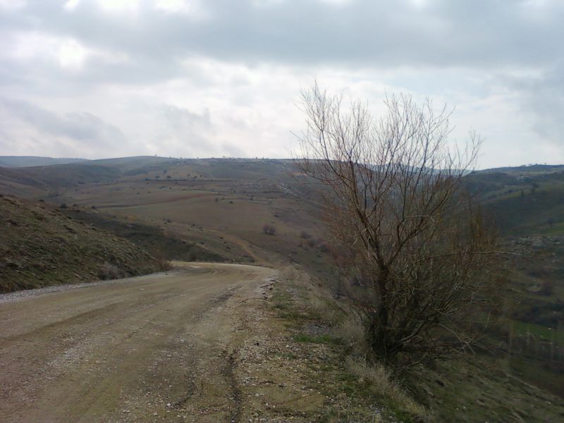 NÃƒÂƒÃ‚Â„ÃƒÂ‚Ã‚Â°SAN 20110020.jpg