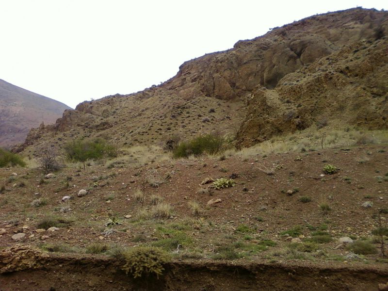 NÃƒÂƒÃ‚Â„ÃƒÂ‚Ã‚Â°SAN 20110048.jpg