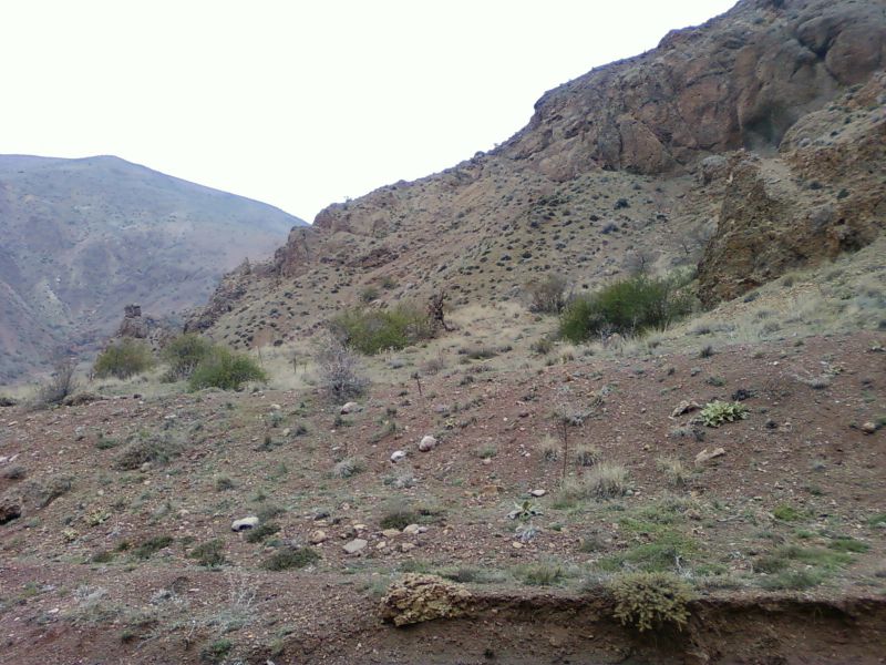 NÃƒÂƒÃ‚Â„ÃƒÂ‚Ã‚Â°SAN 20110051.jpg