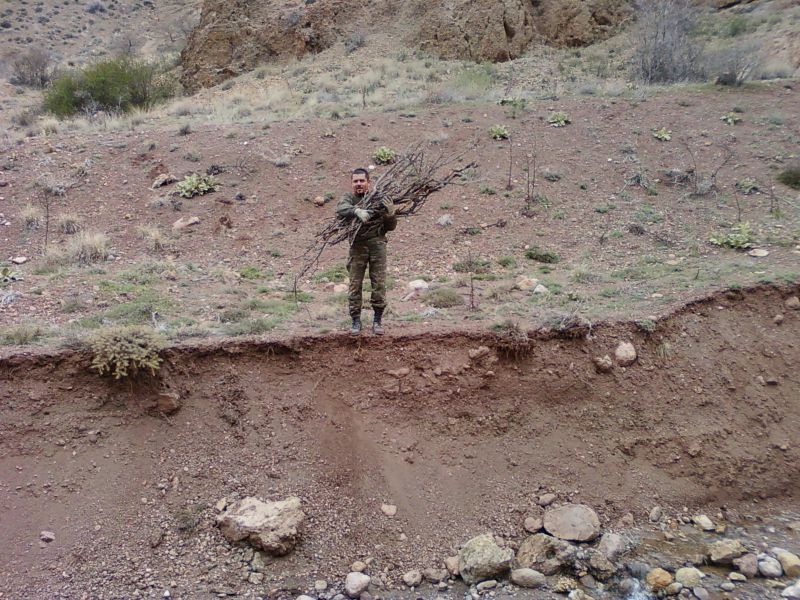 NÃƒÂƒÃ‚Â„ÃƒÂ‚Ã‚Â°SAN 20110055.jpg