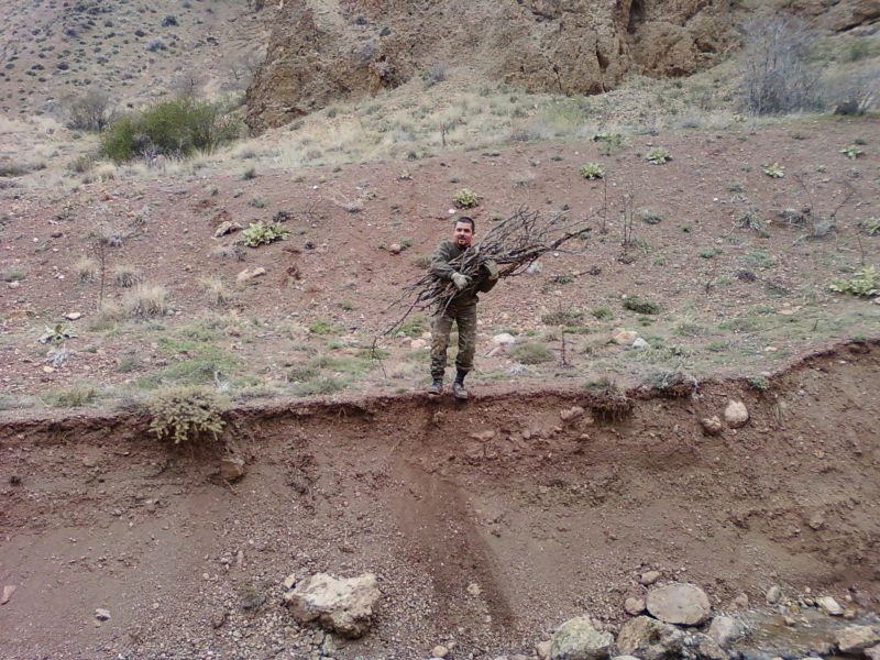 NÃƒÂƒÃ‚Â„ÃƒÂ‚Ã‚Â°SAN 20110056.jpg