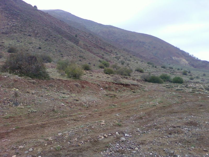 NÃƒÂƒÃ‚Â„ÃƒÂ‚Ã‚Â°SAN 20110058.jpg