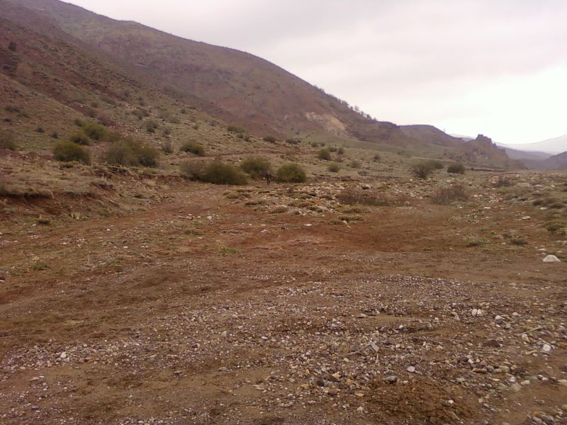 NÃƒÂƒÃ‚Â„ÃƒÂ‚Ã‚Â°SAN 20110059.jpg