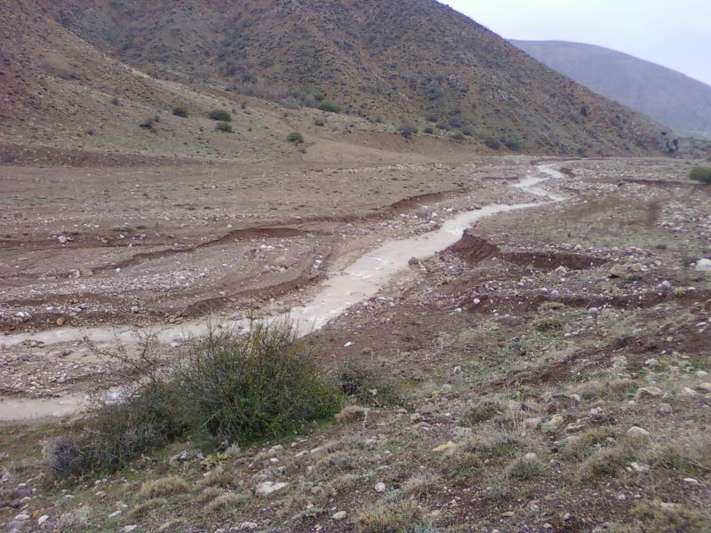 NÃƒÂƒÃ‚Â„ÃƒÂ‚Ã‚Â°SAN 20110061.jpg