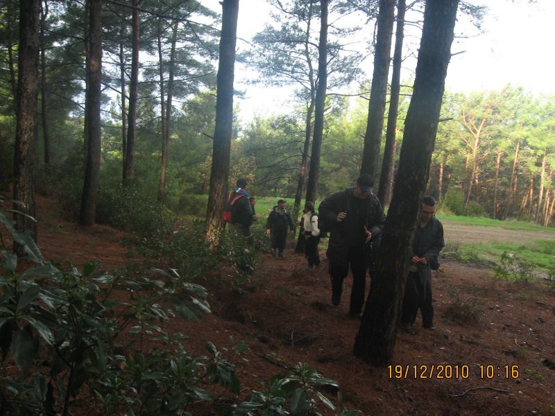 Narcity - Catalkaya - 19.12.10 010.jpg