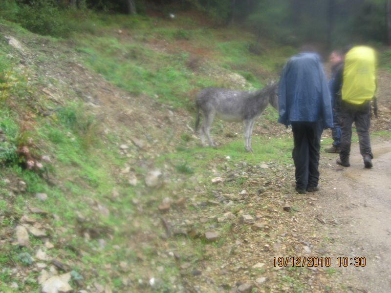 Narcity - Catalkaya - 19.12.10 013.jpg