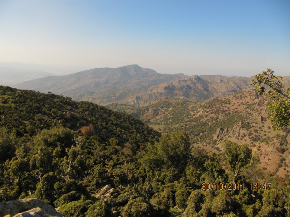 Nejdet AÃƒÂƒÃ‚Â„ÃƒÂ‚Ã‚ÂŸabey'in Objektif 017.jpg