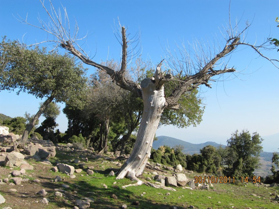 Nejdet AÃƒÂƒÃ‚Â„ÃƒÂ‚Ã‚ÂŸabey'in Objektif 019.jpg