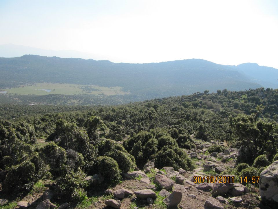 Nejdet AÃƒÂƒÃ‚Â„ÃƒÂ‚Ã‚ÂŸabey'in Objektif 023.jpg