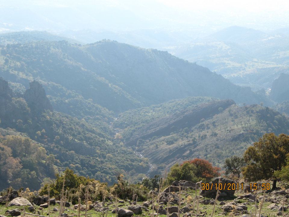 Nejdet AÃƒÂƒÃ‚Â„ÃƒÂ‚Ã‚ÂŸabey'in Objektif 037.jpg